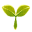 plant.png